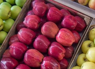 Яблоки от запора