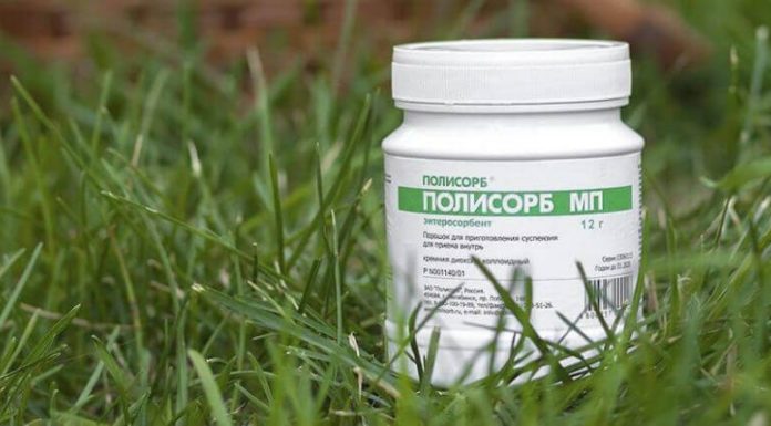 Препарат Полисорб при запорах