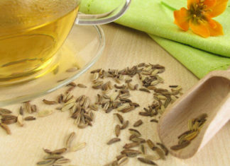 Фенхель от запоров