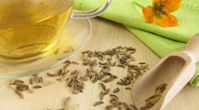 Фенхель от запоров