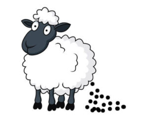 Запор — овечий кал