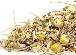 Ромашка — природное лекарство от запоров