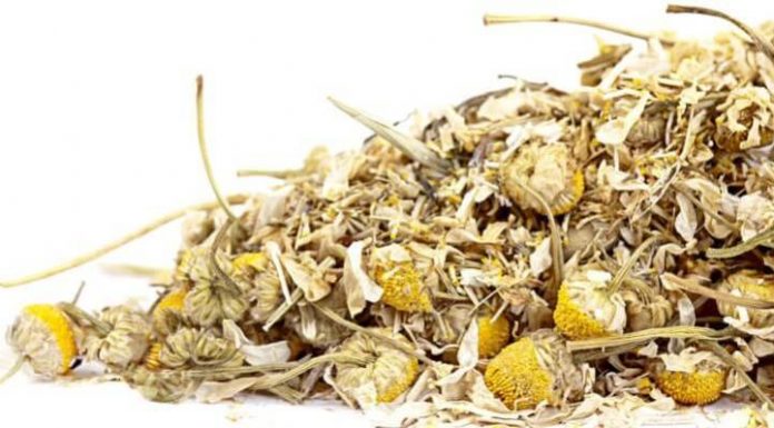 Ромашка — природное лекарство от запоров