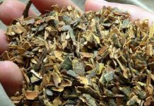 Сила крушины при запорах