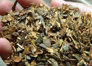 Сила крушины при запорах