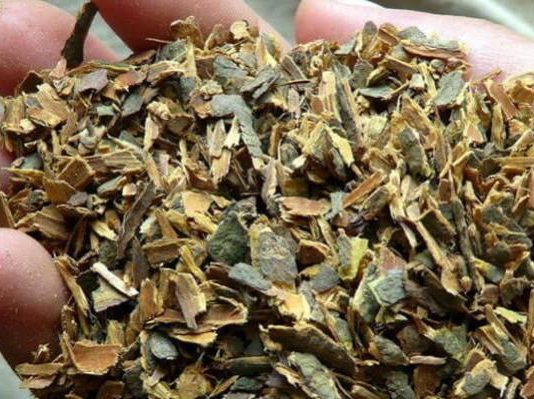 Сила крушины при запорах